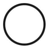 Doulton W2390009 O-Ring Gasket for Doulton HIP Housings